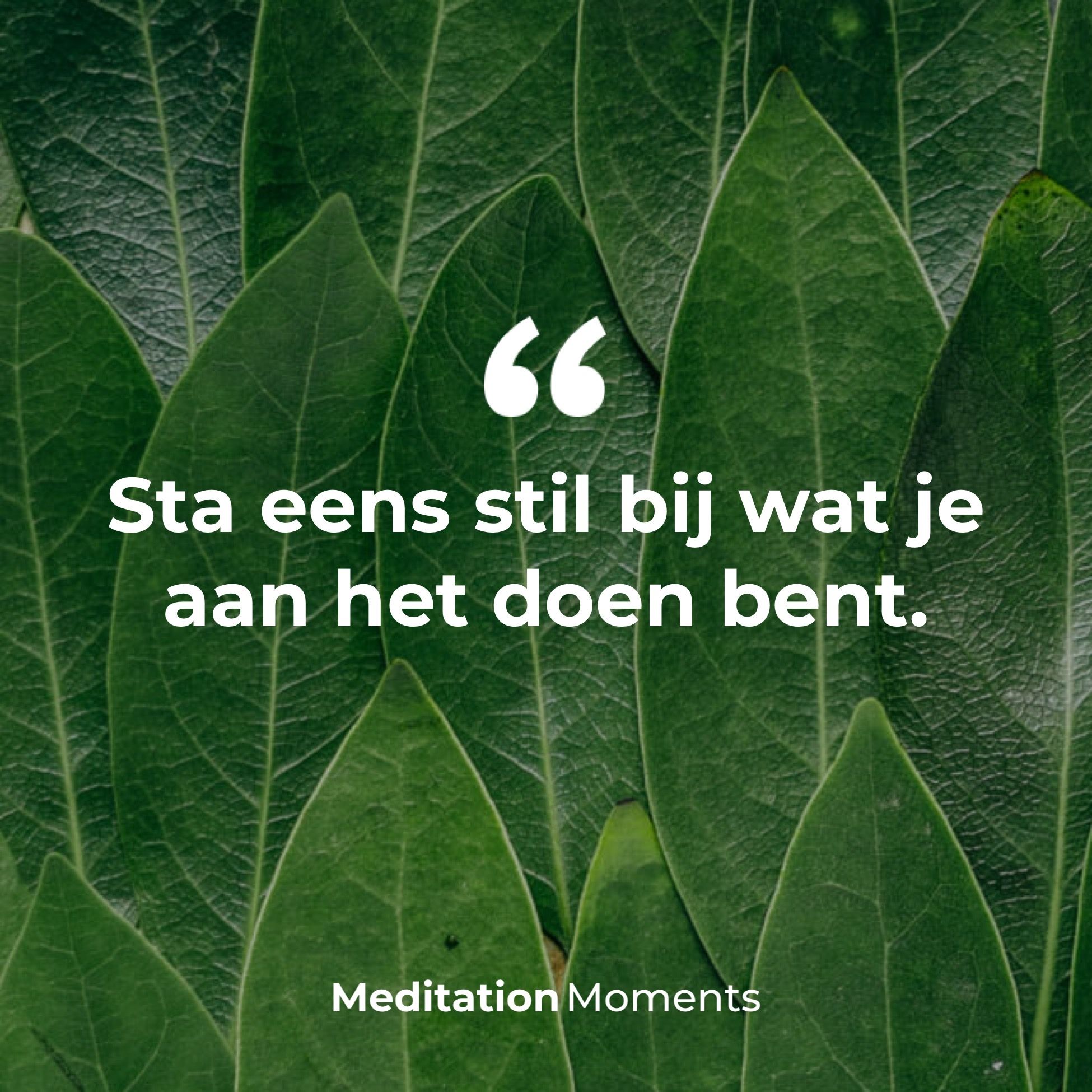 Quote van Meditation Moments: sta eens stil bij wat je aan het doen bent.